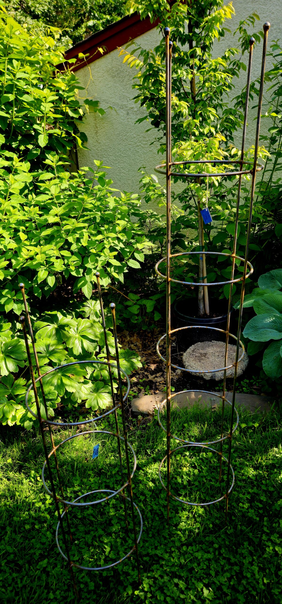 4' x 12" Vine Tower - Image 3