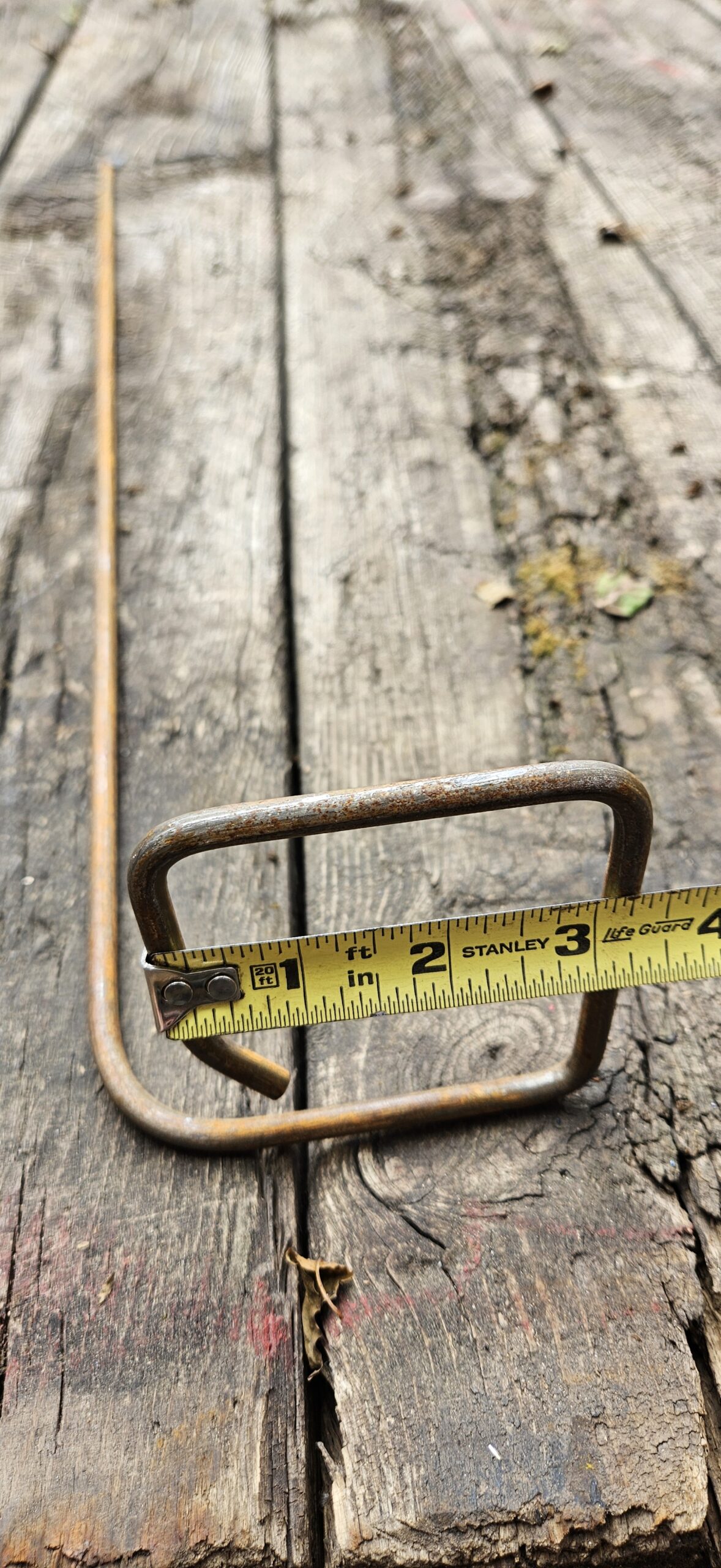 Single Plant Stake Support - Image 2